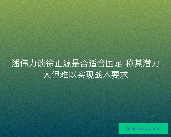潘伟力谈徐正源是否适合国足 称其潜力大但难以实现战术要求 潘伟力谈徐正源是否适合国足 称其潜力大但难以实现战术要求