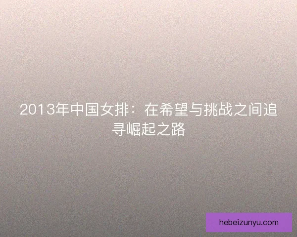 2013年中国女排：在希望与挑战之间追寻崛起之路