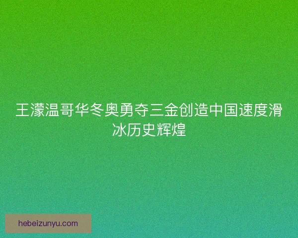 王濛温哥华冬奥勇夺三金创造中国速度滑冰历史辉煌