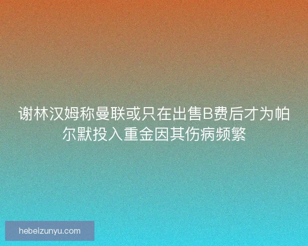 谢林汉姆称曼联或只在出售B费后才为帕尔默投入重金因其伤病频繁